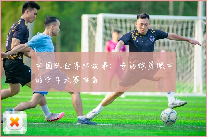 中国队世界杯故事：专访球员眼中的今年大赛准备
